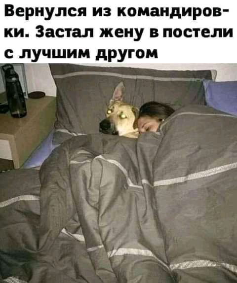 Вернулся из командиров ки Застал жену в постели с лучшим другом