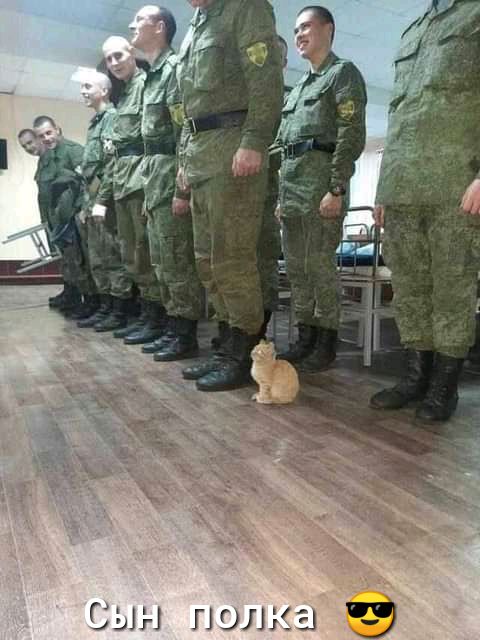 31 к ПОЛ 1г1 м С
