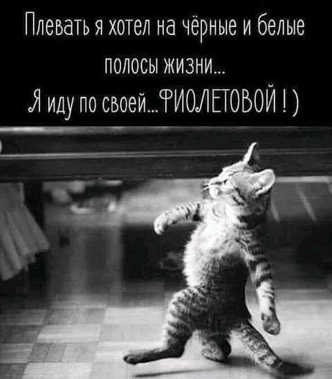 Плеьать я хотел на чёрные и белые полосы жизни Я иду по своейИОЛЕТОБОЙ