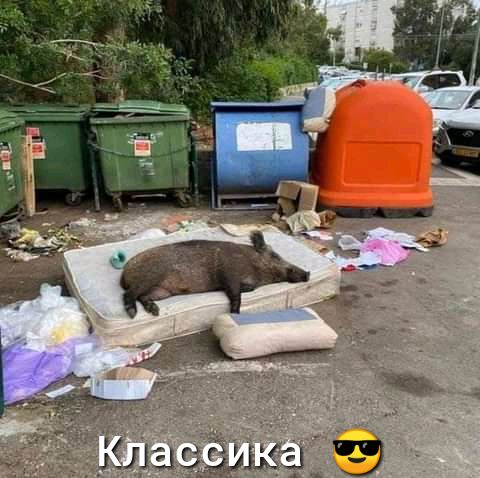 чта ЗЁЫЧ Э
