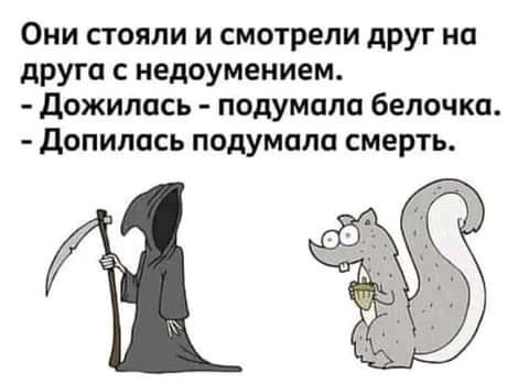 Они стояли и смотрели друг на друга с недоумением дожипась подумала белочка допипась подумала смерть С щ