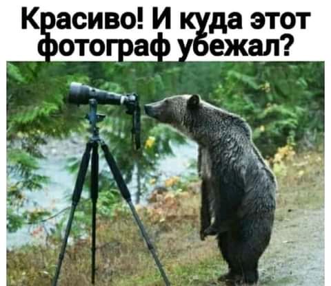 К асиво И да этот ежал