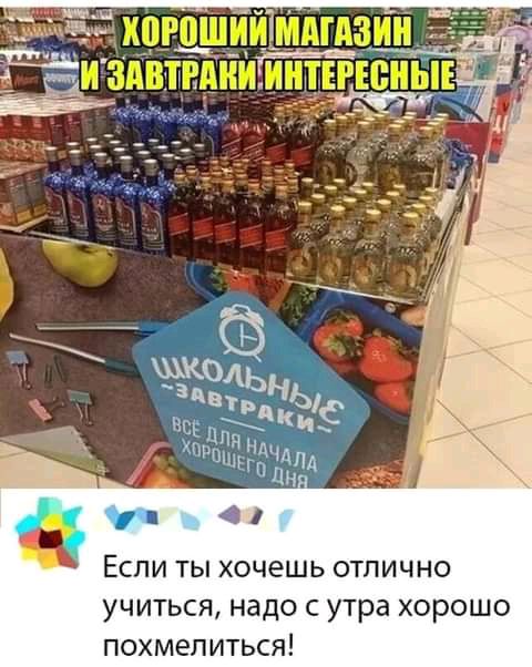 Если ты хочешь отлично учиться надо с утра хорошо похмелиться