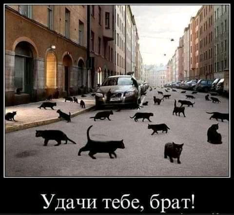Удачи тебе брат