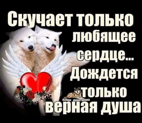 чает ТОЛЬНП ПЮЁПЩЕВ ЕВПДЦЕ дождется _ только ЁВЁЁЁн душа