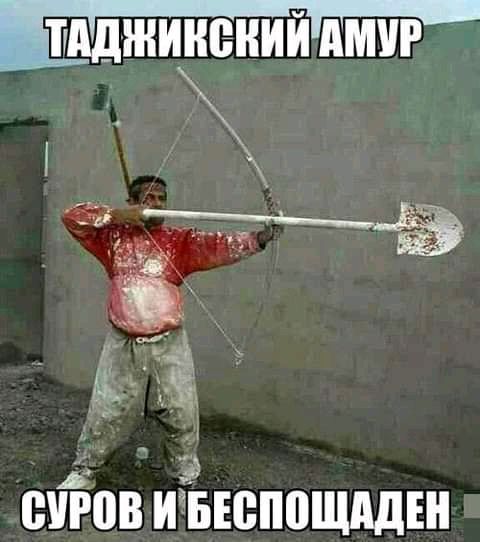 Ъддк ШИПЁНИЙПМУР _ 1121 З ВУРПВ НБЕВППЩАДЕН