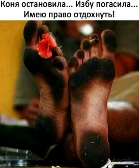 Коня остановила Избу погасила Имею право отдохнуть __ дн _