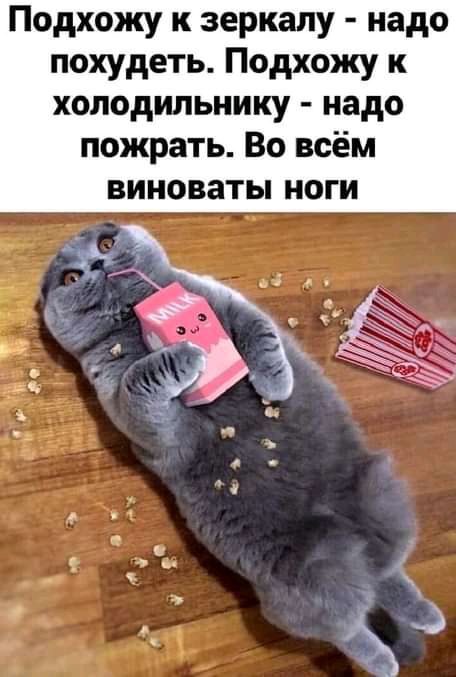 Подхожу к зеркалу надо похудеть Подхожу к холодильнику надо пожрать Во всём виноваты ноги