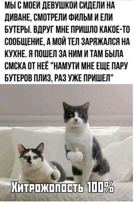 МЫ В МПЕИ ЦЕВУШКОИ СИЦЕЛИ НА ЦИВАНЕ СМОТРЕЛИ ФИЛЬМ И ЕЛИ БУТЕРЫ ВЦРУГ МНЕ ПРИШЛО КАКИЕ ТП СООБЩЕНИЕ А МОЙ ТЕЛ ЗАРЯЖАЛБП НА КУХНЕ Я ППШЕЛ ЗА НИМ И ТАМ БЫЛА БМСКА ПТ НЕЁ НАМУТИ МНЕ ЕЩЕ ПАРУ БУТЕРПБ ПЛИЗ РАЗ УЖЕ ПРИШЕЛ