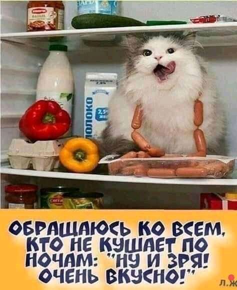 овмшдюь ко вем кто не цзшпет по мочит на и 3951 очень вкькног