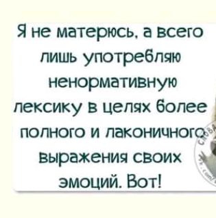 Я не матерюсь а всего лишь употребляю ненормативную лексику в целях более полного и лаконичном выражения своих эмоций Вот