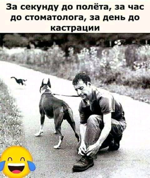 За секунду до полёта за час до стоматолога за день до кастрации