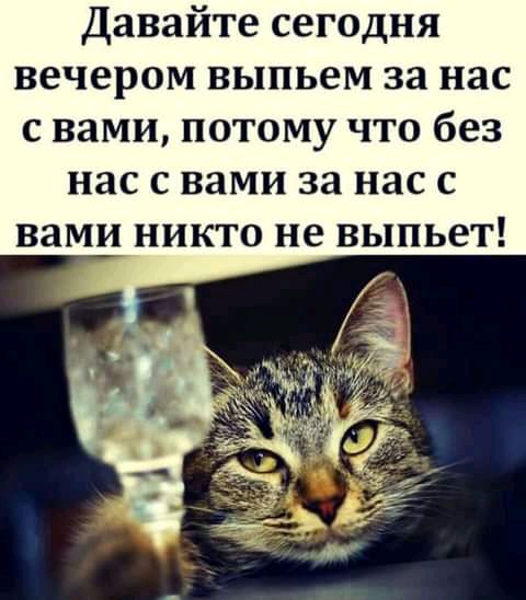 Давайте сегодня вечером выпьем за нас с вами потому что без нас с вами за нас с вами никто не выпьет