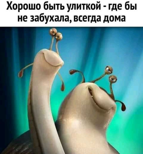 Хорошо быть улиткой где бы не забухала всегда дома