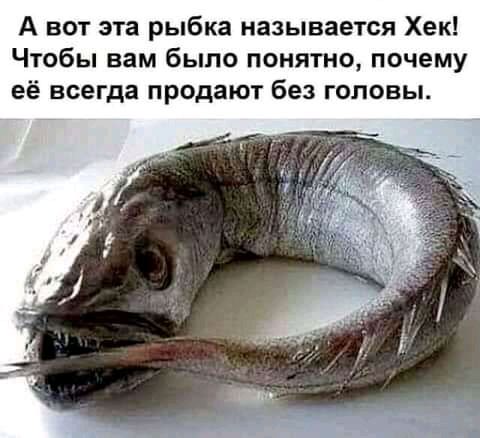 А вот эта рыбка называется Хек Чтобы вам было понятно почему её всегда продают без головы