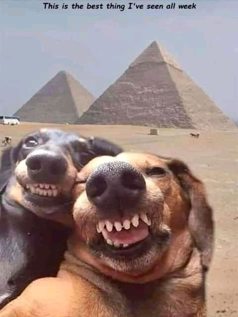 ТМ и Ь 01179 Гц шп а К