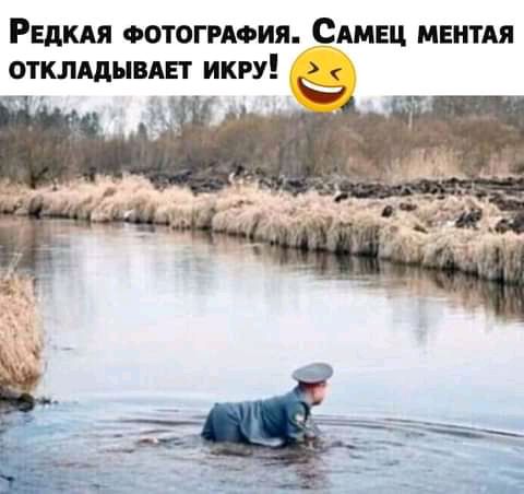 Радия Фотогиоия Сдмец мнитдя отклддывдьт икру
