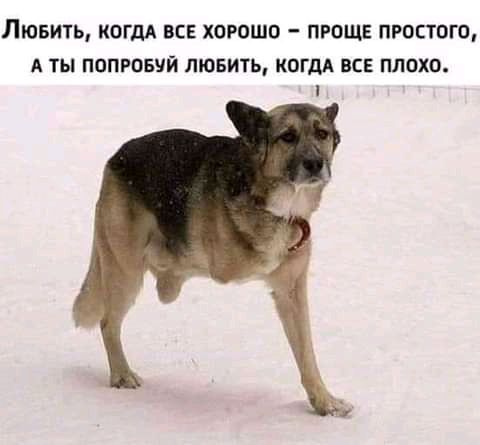 ЛЮБИТЬ КОГДА ВСЕ ХОРОШО ПРОЩЕ ПРОСТОГО А ТЫ ПОПРОБУЙ ЛЮБИТЬ КОГДА ВСЕ ПЛОХО