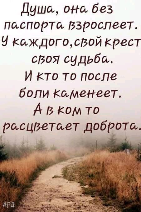 Души она без паспорта взрослеет И Каждогос30й крест сВоя судьба И кто то после боли Каменеет А В Ком то расцЗетает доброта