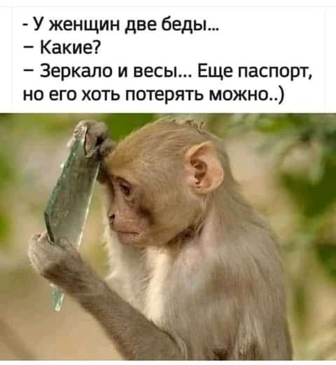 У женщин две беды Какие Зеркало и весы Еще пасп рт но его хоть потерять можно