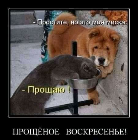 ПРОЩЁНОЕ ВОСКРЕСЕНЬЕ