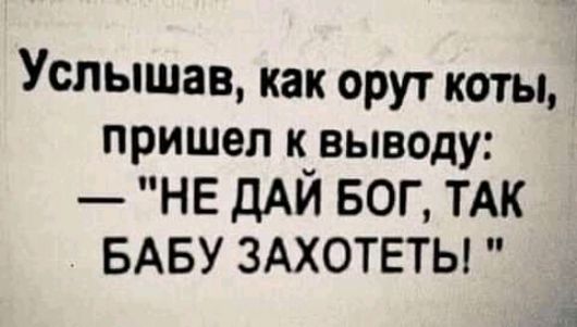 Услышав как орут коты пришел к выводу НЕ ДАЙ БОГ ТАК БАБУ ЗАХОТЕТЫ