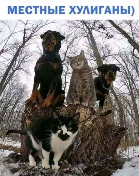 Ь н А Г И А У х_ Щ Ь н Т С Е м