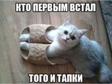 того и танки