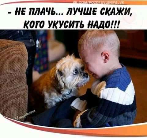 не плачь лучше склжи _ кого укусить надо