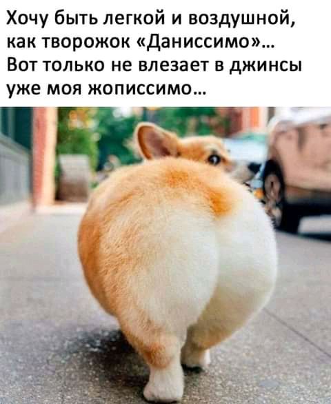 Хочу быть легкой и воздушной как творожок даниссимо Вот только не влезает в джинсы уже моя жописсимо