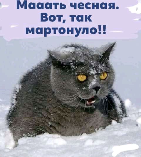 Мешать чесная Вот так мартонупоН