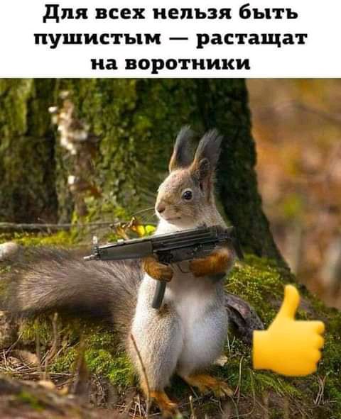 для всех нельзя быть пушистым растащат иа воротники