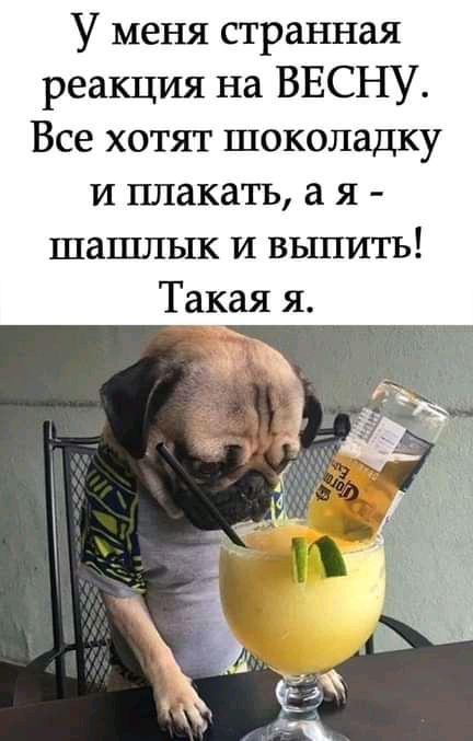 У меня странная реакция на ВЕСНУ Все хотят шоколадку и плакать а я шашлык И выпить Такая я