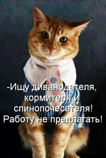 кор МИЭТ71 А СПИНОП Г