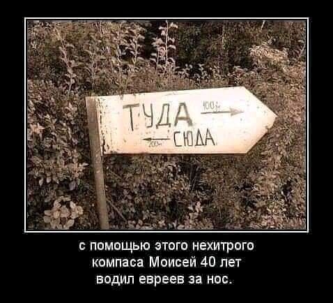 с помощью этого нехитрого компаса Моисей 40 пет водил евреев за нос