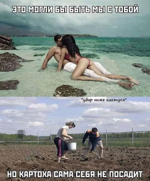 нц кдптпхд сайд гвя НЕ ппспдит