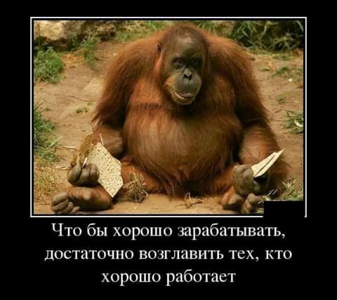 Что бы хорошо зарабатывать достаточно возглавить тех кто хорошо работает