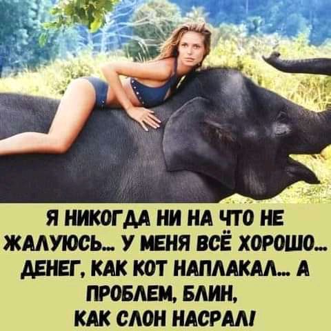 ЯНИКОГААНИНАЧТОНЕ ЖМУЮСЬ У МЕНЯ ВСЕ Х0Р0Ш0 АЕНЕГ КАК КОТ НАПМКАА А ПРОБЛЕМ БЛИН КАК СЛОН НАСРАМ