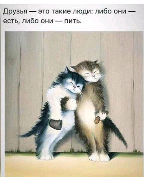 Друзья это такие люди либо они есть либо они пить
