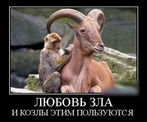 ЛЮБОВЬ ЗЛА и козлы этим пользуются