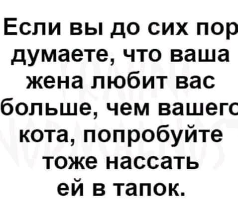 Если вы до сих пор думаете что ваша жена любит вас больше чем вашегс кота попробуйте тоже нассать ей в тапок