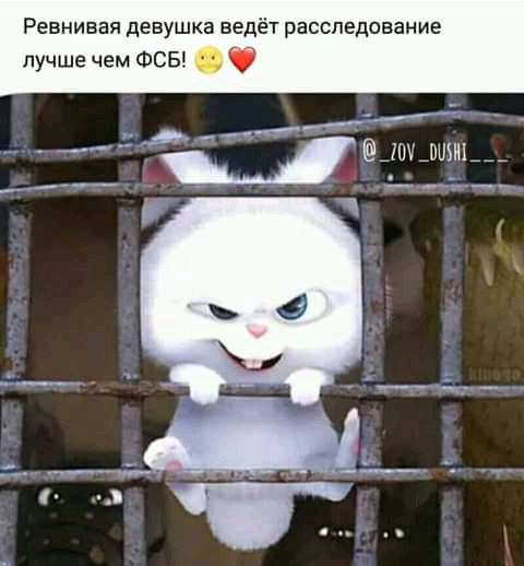 Ревнивая девушка ведёт расследование лучше чем ФСБ