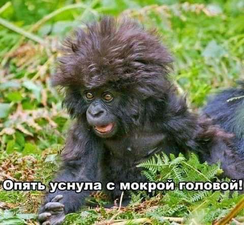 ой пблоЁЁ