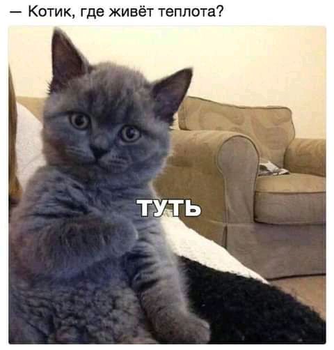ик где живёт т пота