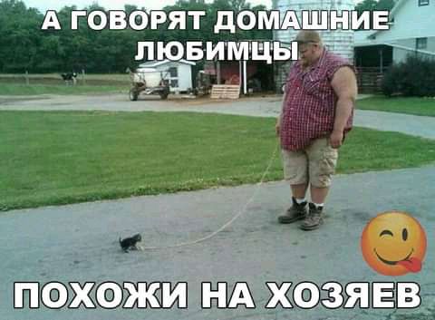 жом