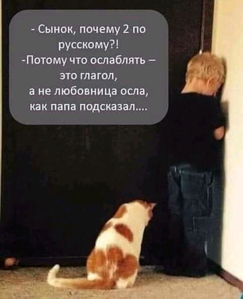 Сынок почему 2 по русскому Потому что ослаблять это глагол а не любовница осла как папа подсказал