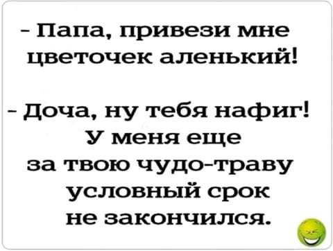 Папа привези мне цветочек аленький доча ну тебя нафиг У меня еще за твою чудотраву условный срок не закончился О