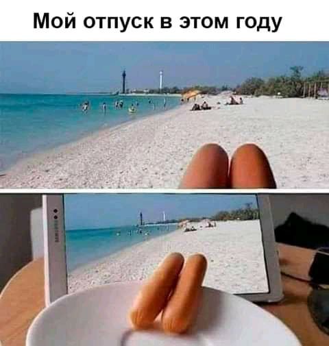 Мой отпуск в этом году