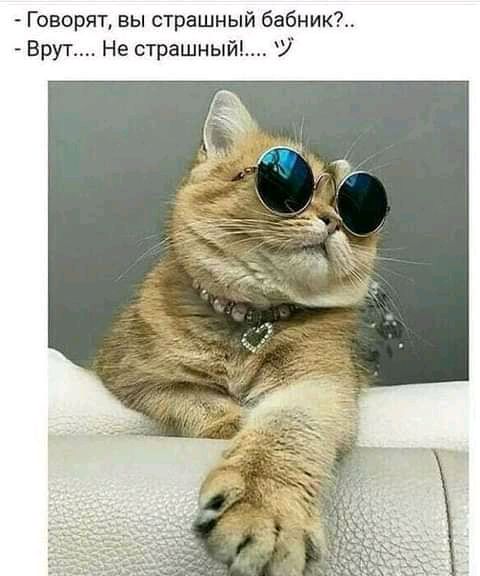 Говорят вы страшный бабник Брут Не страшный