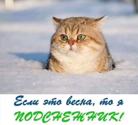 Эш эию шт 620 я жоэтгжптк